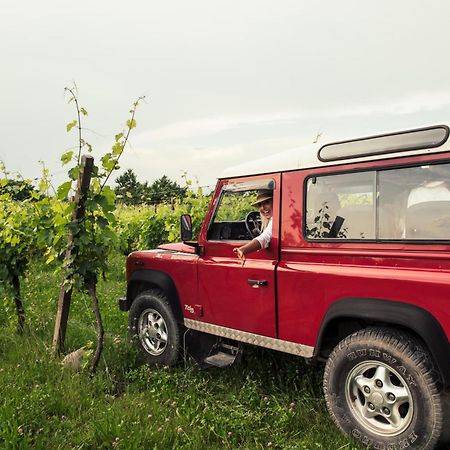 Agriturismo I Mischi كاستلْنْيوفو ديل غارد المظهر الخارجي الصورة