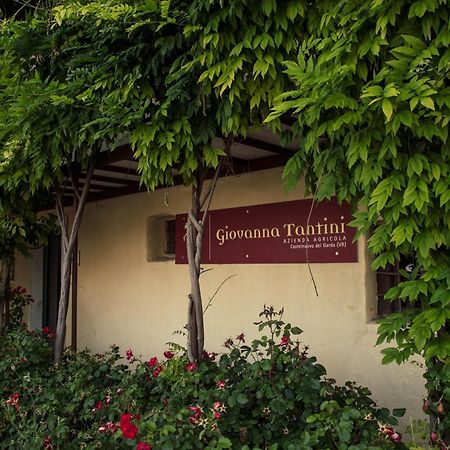 Agriturismo I Mischi كاستلْنْيوفو ديل غارد المظهر الخارجي الصورة