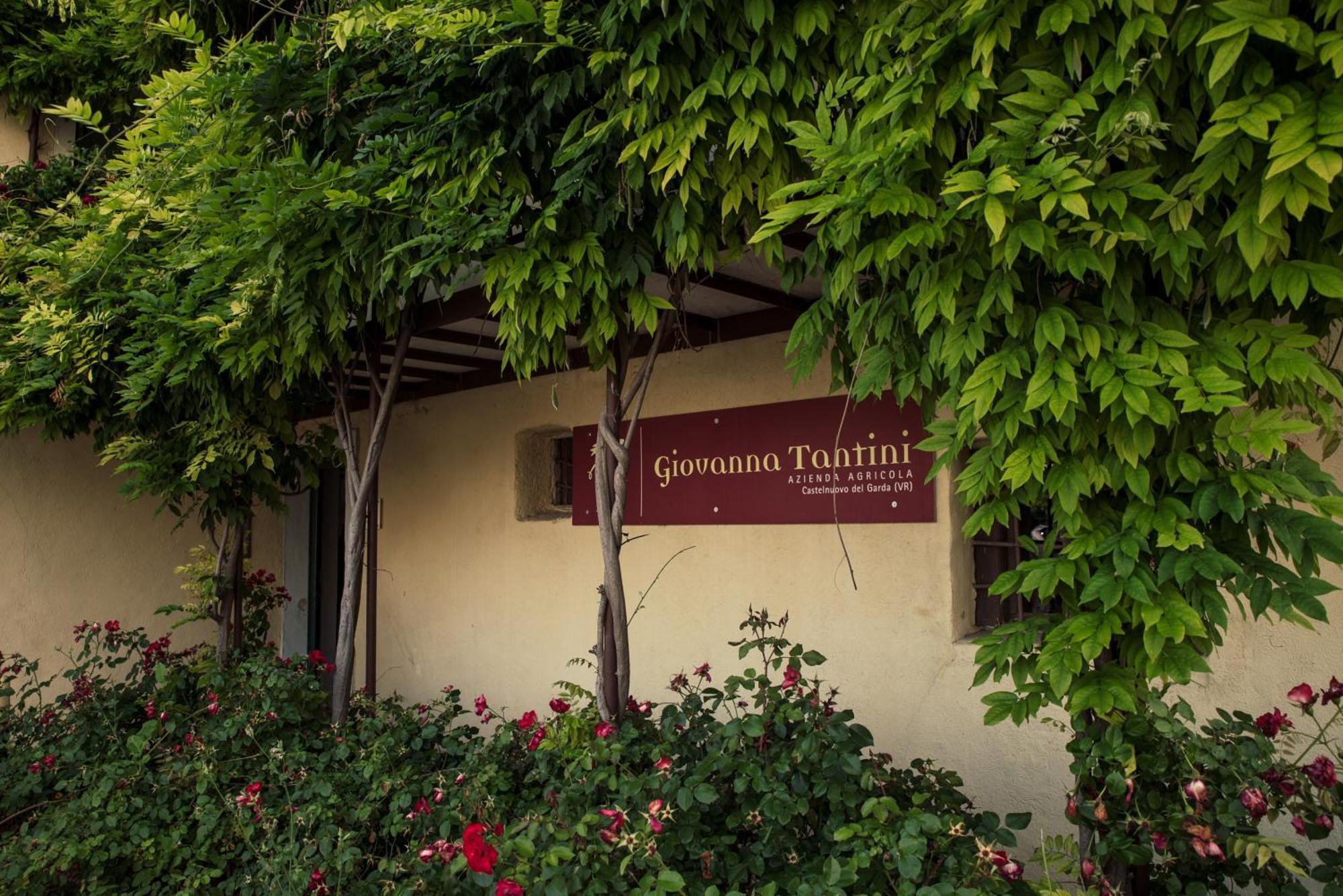 Agriturismo I Mischi كاستلْنْيوفو ديل غارد المظهر الخارجي الصورة