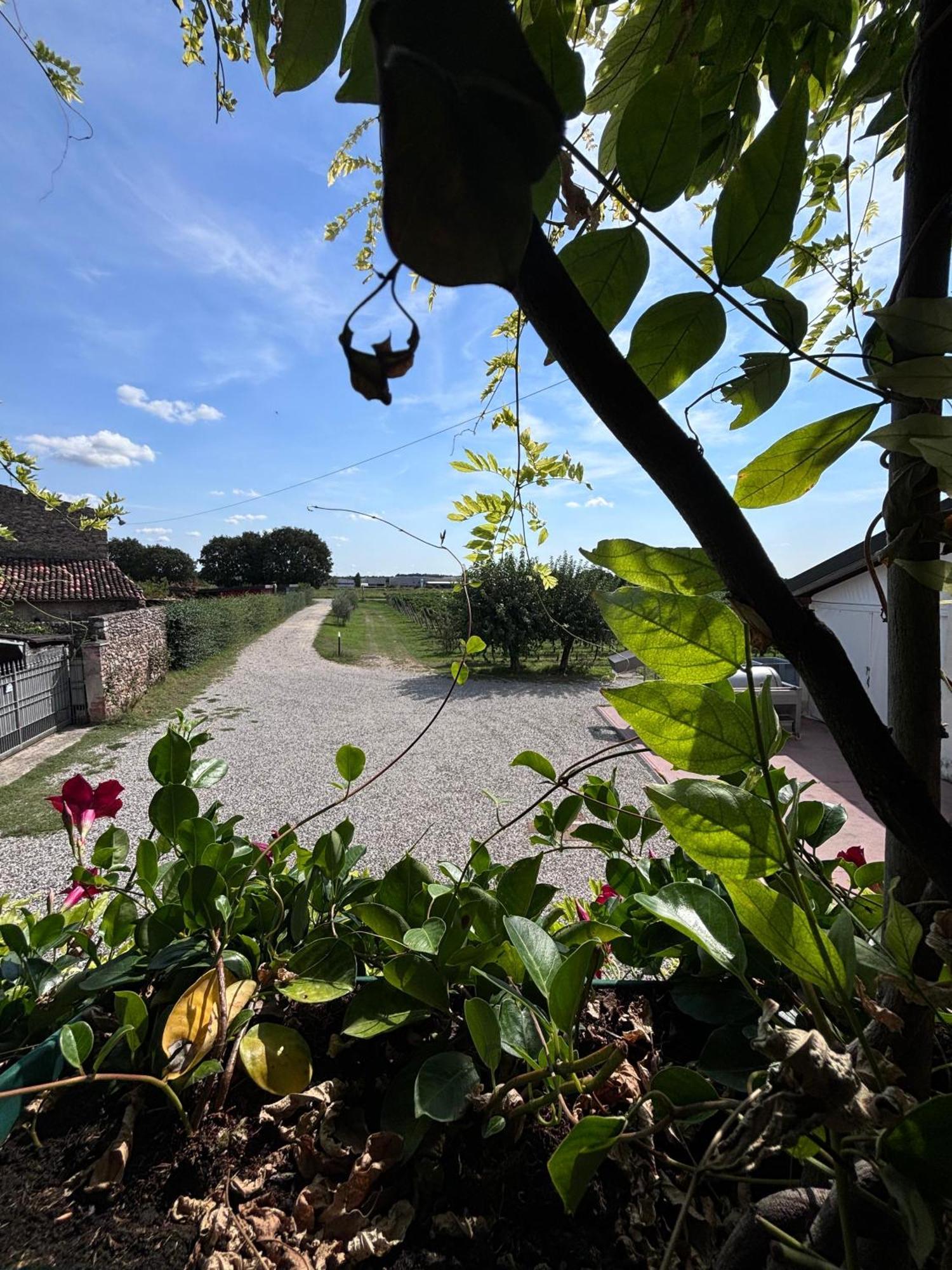 Agriturismo I Mischi كاستلْنْيوفو ديل غارد المظهر الخارجي الصورة