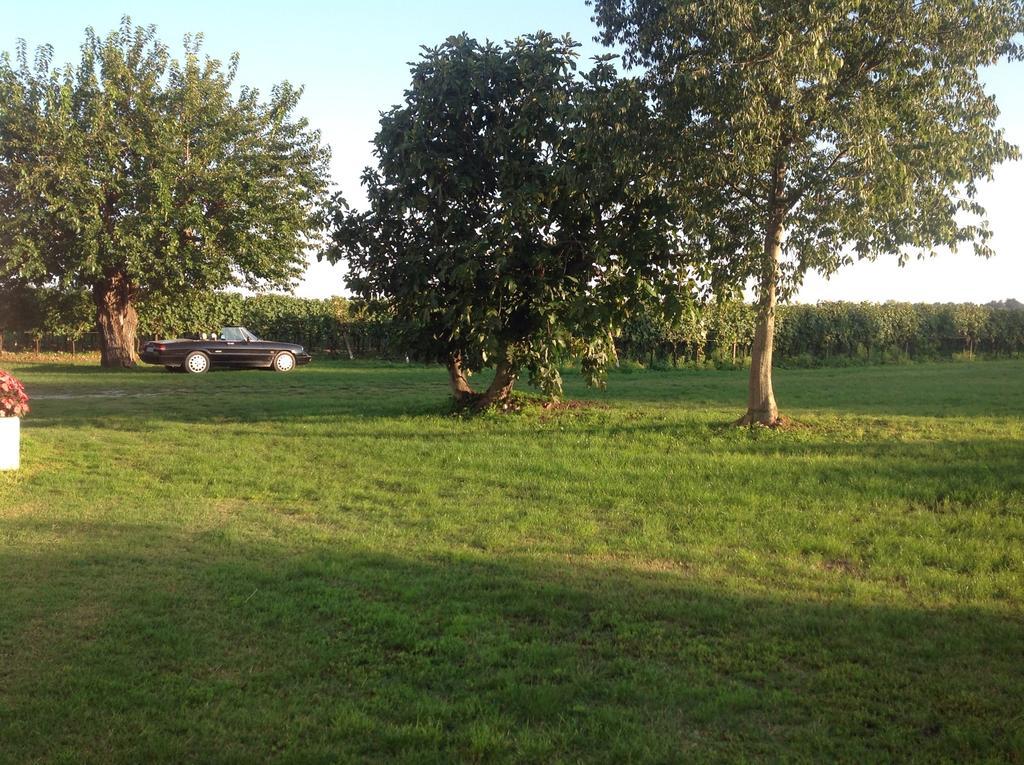 Agriturismo I Mischi كاستلْنْيوفو ديل غارد المظهر الخارجي الصورة