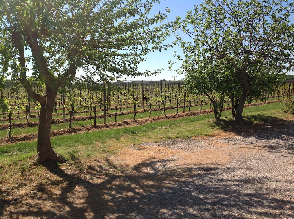 Agriturismo I Mischi كاستلْنْيوفو ديل غارد المظهر الخارجي الصورة